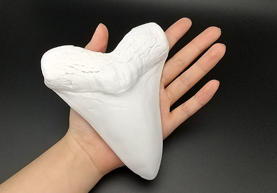 シリコンの型に石こうを流して作ります