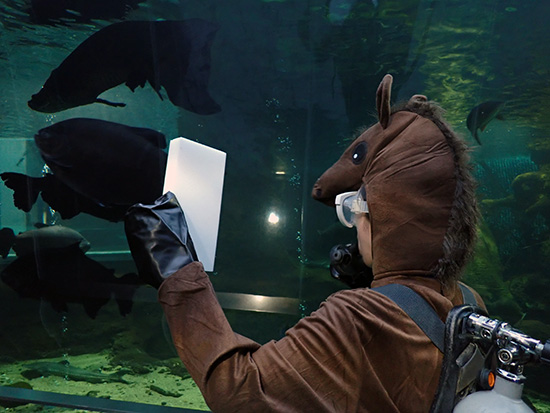 見かけたら手を振ってね！