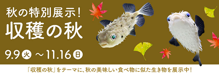 2025秋の特別展示