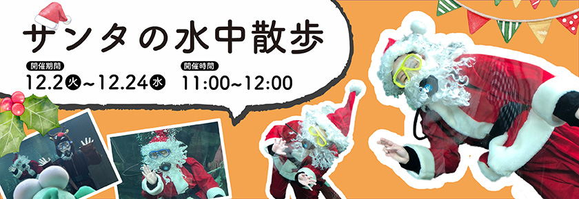 2025サンタの水中散歩