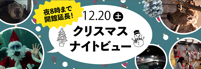 2025クリスマスナイトビュー