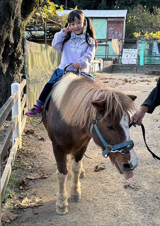 午年に馬に乗ろう！
