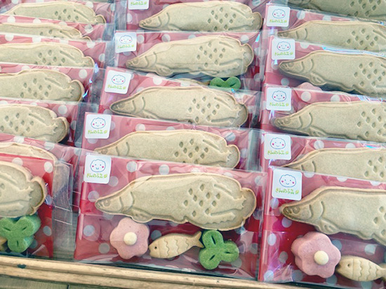 数量限定です！