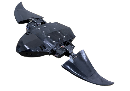 マンタ型ロボットを操縦しよう！