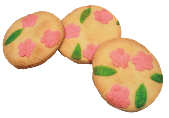 手作り体験してみよう！