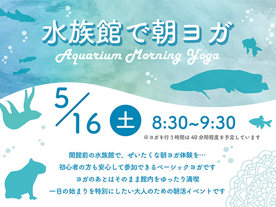 初心者の方でもお気軽に・・・